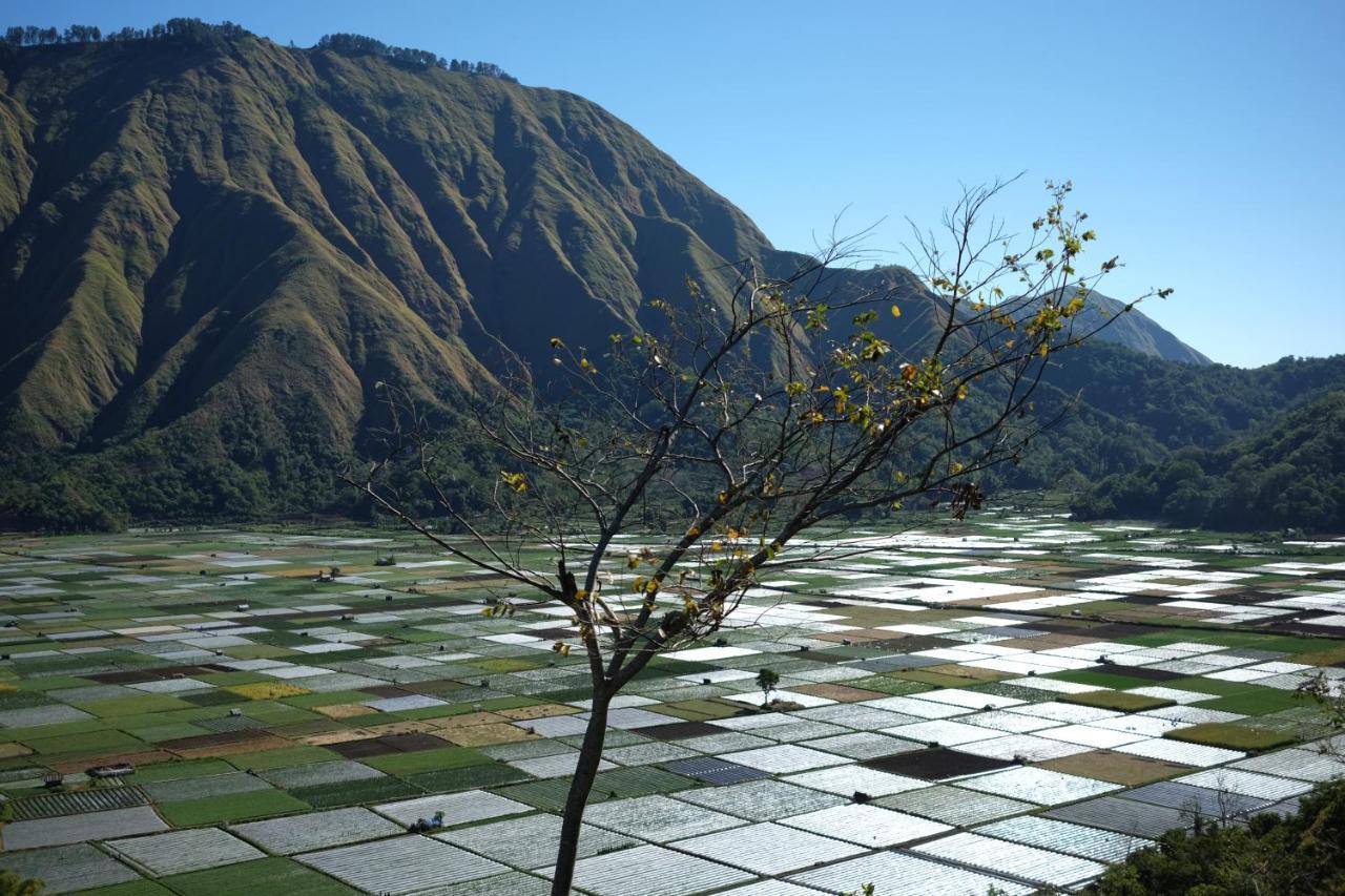 Rinjani Green Park Syariah Hotel Sembalunlawang Zewnętrze zdjęcie
